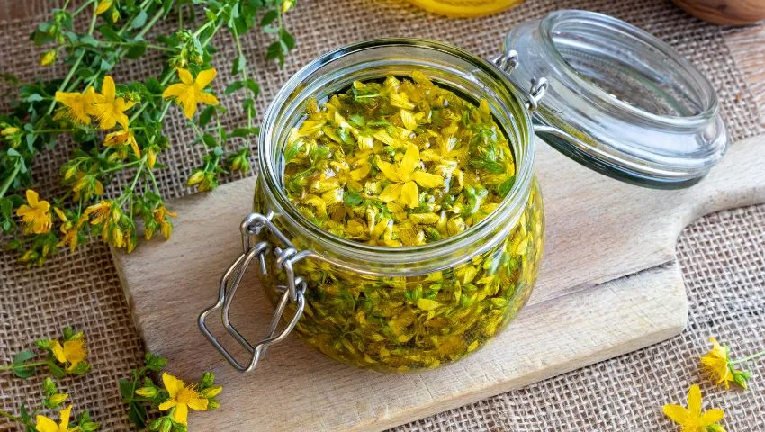 iperico contro depressione erba di san giovanni