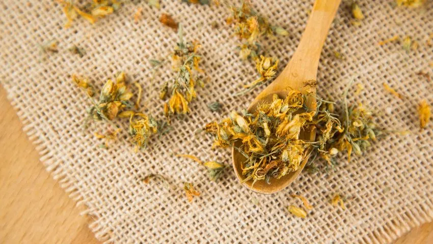 iperico contro depressione erba di san giovanni