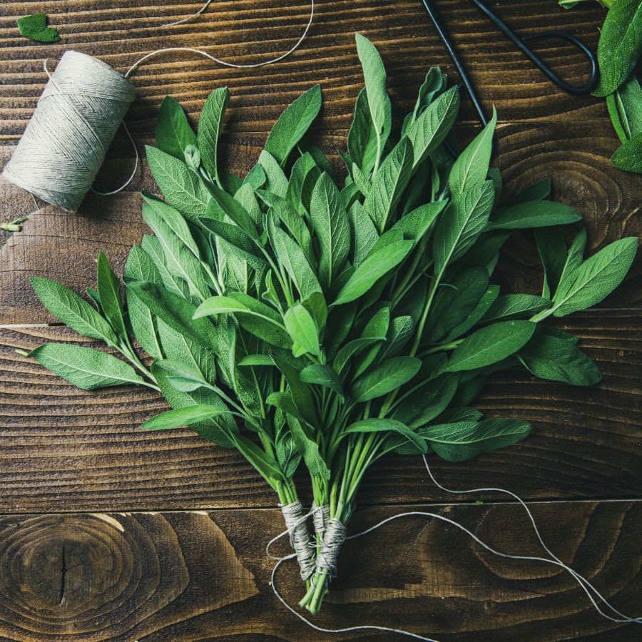 preparare smudge salvia